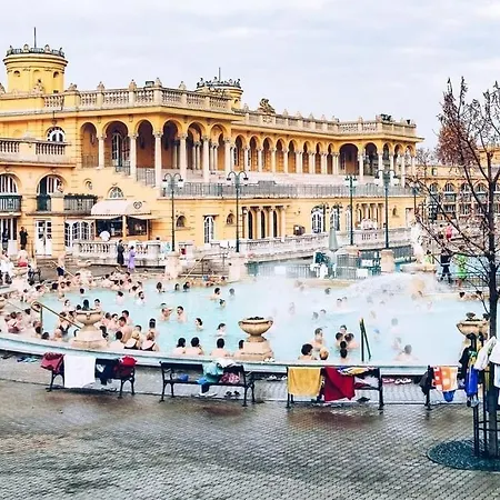 Wellness Wonderland Garden, Sauna, Jacuzzi In Cbd Budapeşte