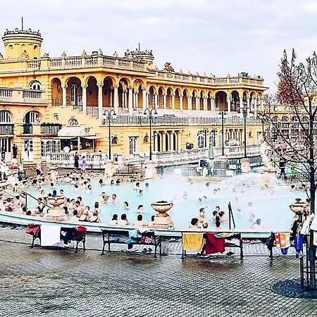 Wellness Wonderland Garden In Cbd Budapest